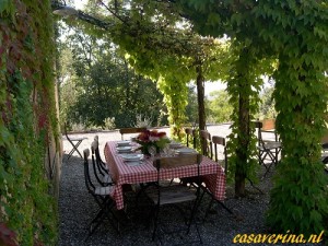 Bernardini 8